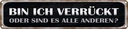 Blechschild 10x46 cm bin ich verrückt oder andere Spruch Zitat