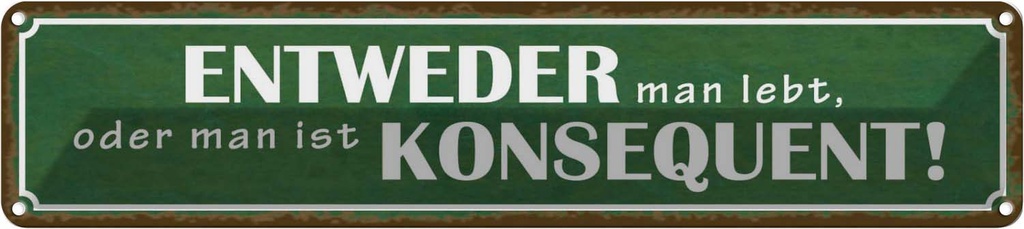 Blechschild 10x46 cm entweder man lebt oder Spruch Zitat