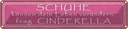 Blechschild 10x46 cm Schuhe verändern frag Cinderella Spruch Zitat
