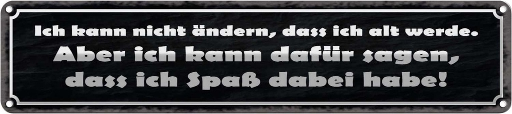 Blechschild 10x46 cm ich kann nicht ändern alt werde Spruch Zitat