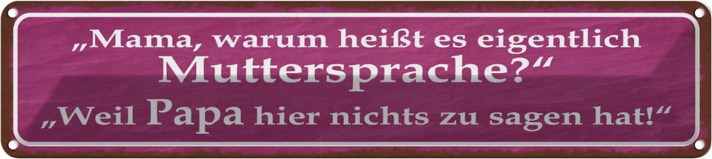 Blechschild 10x46 cm Muttersprache Papa nichts sagen Spruch Zitat