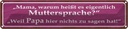 Blechschild 10x46 cm Muttersprache Papa nichts sagen Spruch Zitat