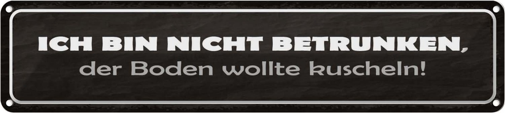 Blechschild 10x46 cm bin nicht betrunken Boden wollte Spruch Zitat