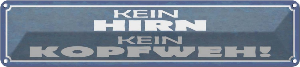 Blechschild 10x46 cm kein Hirn Kopfweh Spruch Zitat