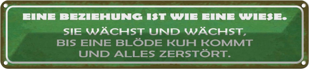 Blechschild 10x46 cm Beziehung ist wie eine Wiese Spruch Zitat