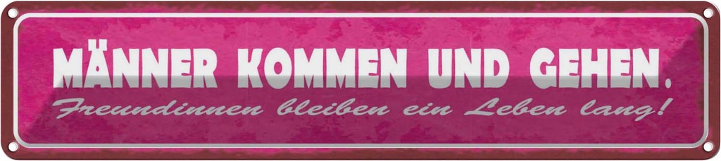 Blechschild 10x46 cm Männer kommen gehen Freundinnen Spruch Zitat