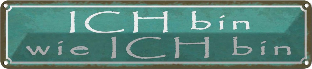 Blechschild 10x46 cm ich bin wie Spruch Zitat