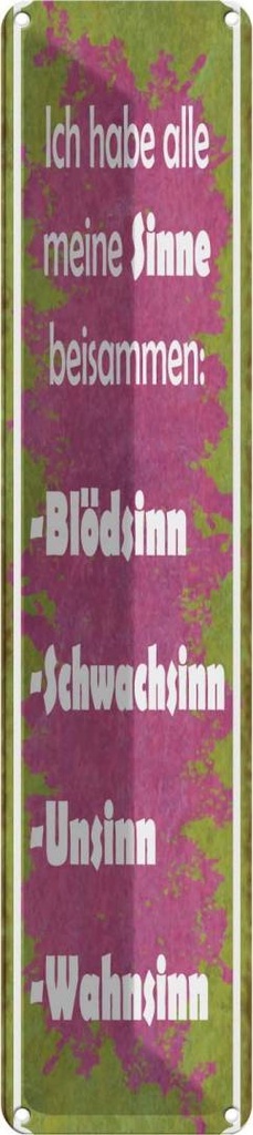 Blechschild 10x46 cm habe alle meine Sinne beisammen Spruch Zitat