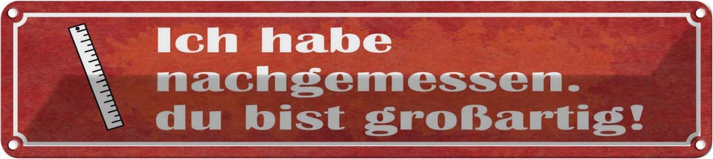 Blechschild 10x46 cm nachgemessen du bist großartig Spruch Zitat