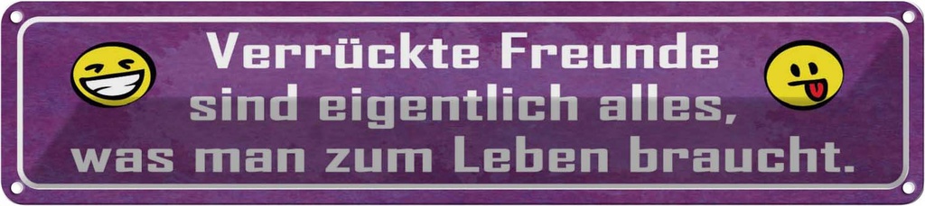 Blechschild 10x46 cm verrückte Freunde sind alles was Spruch Zitat
