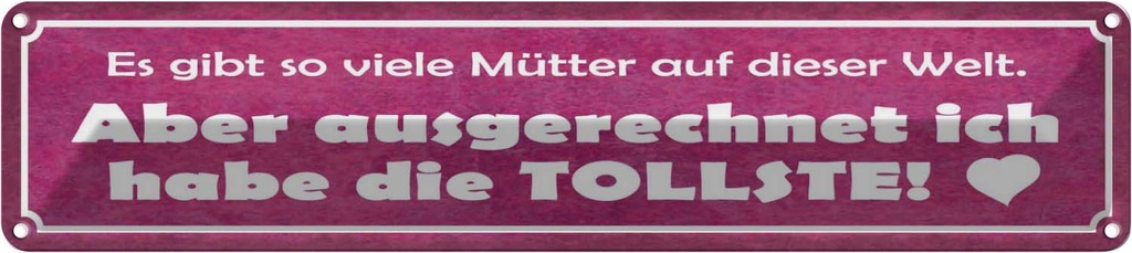 Blechschild 10x46 cm ich habe die tollste Mutter Herz Spruch Zitat