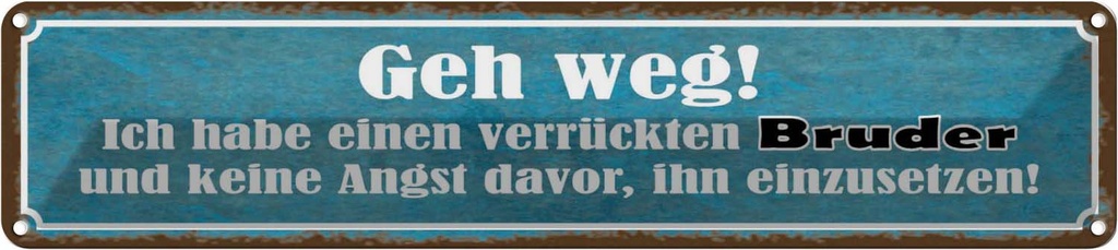 Blechschild 10x46 cm ich habe einen verrückten Bruder Spruch Zitat