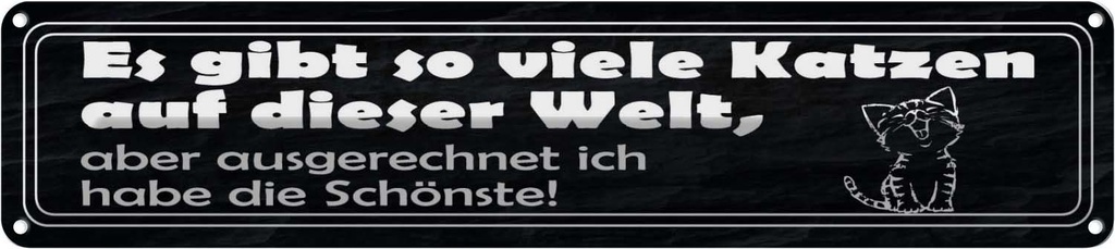 Blechschild 10x46 cm es gibt so vile Katzen auf Welt Spruch Zitat