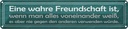 Blechschild 10x46 cm wahre Freundschaft ist wenn man Spruch Zitat