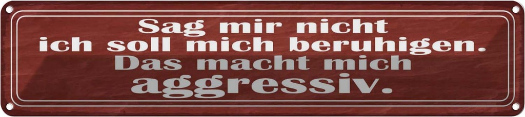 Blechschild 10x46 cm sag nicht soll mich beruhigen Spruch Zitat