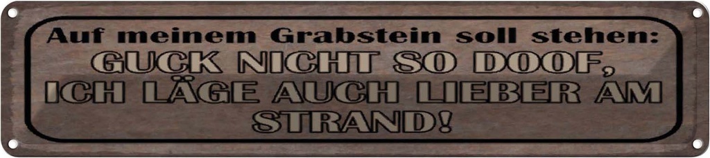Blechschild 10x46 cm auf meinem Grabstein soll stehen Spruch Zitat