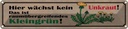 Blechschild 10x46 cm wächst kein Unkraut kleingrün Dekoration Spruch Zitat