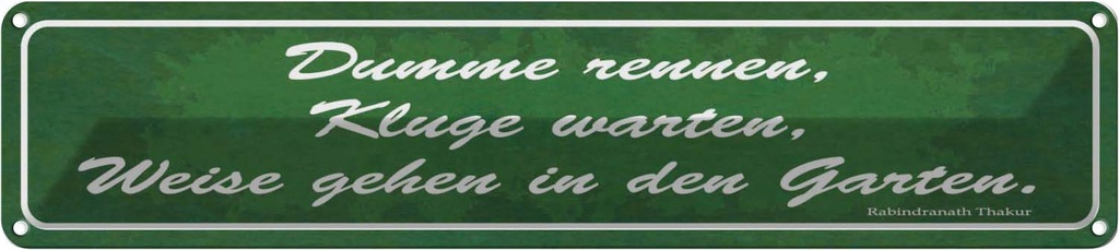 Blechschild 10x46 cm Dumme rennen Kluge warten Garten Spruch Zitat