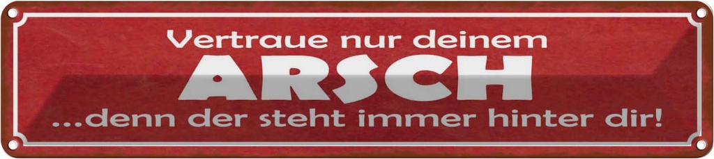Blechschild 10x46 cm vertraue nur deinem Arsch denn Dekoration Spruch Zitat