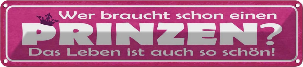 Blechschild 10x46 cm wer braucht schon einen Prinzen Spruch Zitat