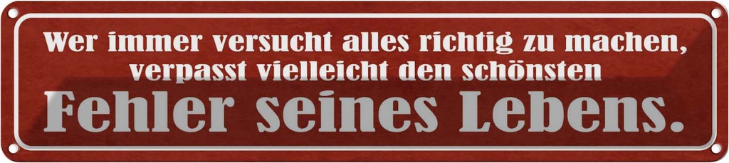 Blechschild 10x46 cm schönster Fehler seines Lebens Dekoration Spruch Zitat