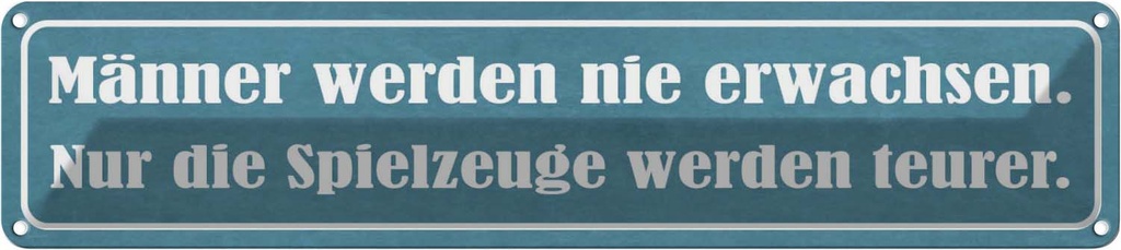 Blechschild 10x46 cm Männer nie erwachsen Spielzeuge Spruch Zitat