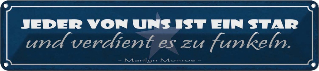 Blechschild 10x46 cm jeder von uns ist ein Star und Dekoration Spruch Zitat