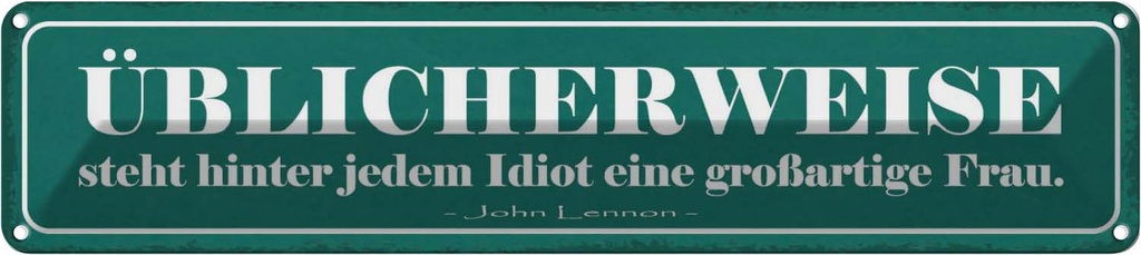 Blechschild 10x46 cm hinter Idiot großartige Frau Männer Frauen Spruch Zitat