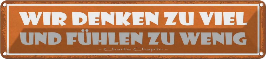 Blechschild 10x46 cm wir denken zu viel fühlen wenig Spruch Zitat