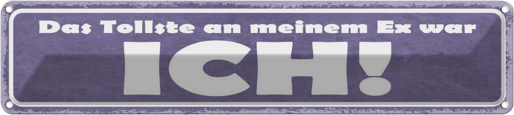 Blechschild 10x46 cm das tollste an meinem Ex was ICH Spruch Zitat