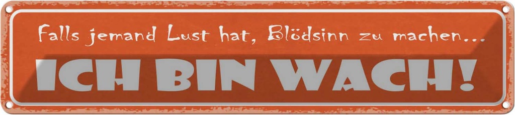 Blechschild 10x46 cm Blödsinn machen ich bin wach Dekoration Spruch Zitat