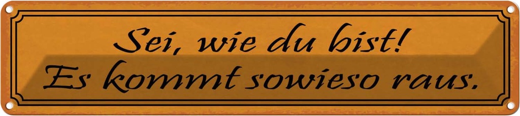 Blechschild 10x46 cm sei wie du bist es kommt sowieso Spruch Zitat