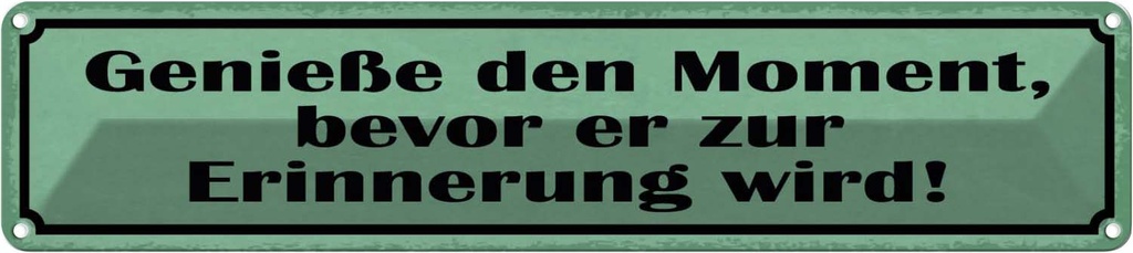 Blechschild 10x46 cm genieße Moment bevor Erinnerung Spruch Zitat