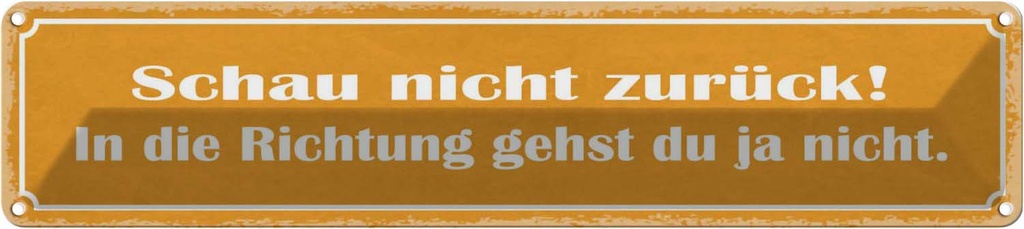 Blechschild 10x46 cm schau nicht zurück Dekoration Spruch Zitat