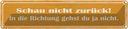 Blechschild 10x46 cm schau nicht zurück Dekoration Spruch Zitat