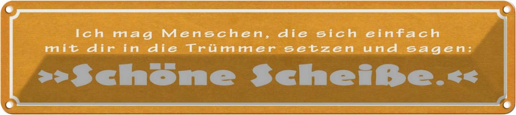 Blechschild 10x46 cm ich mag Menschen die sich Dekoration Spruch Zitat