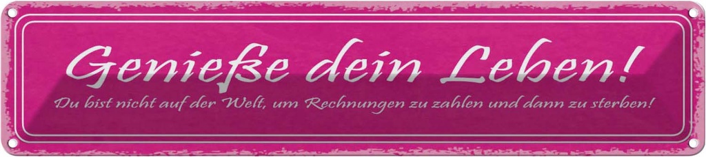 Blechschild 10x46 cm Genieße dein Leben du bist nicht Spruch Zitat