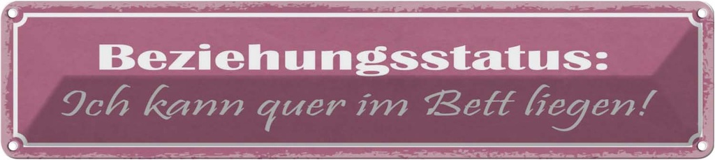 Blechschild 10x46 cm Beziehungsstatus quer im Bett Dekoration Spruch Zitat