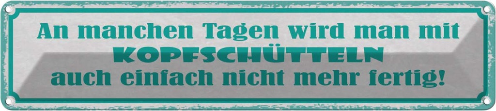Blechschild 10x46 cm an manchen Tagen wird man mit Dekoration Spruch Zitat