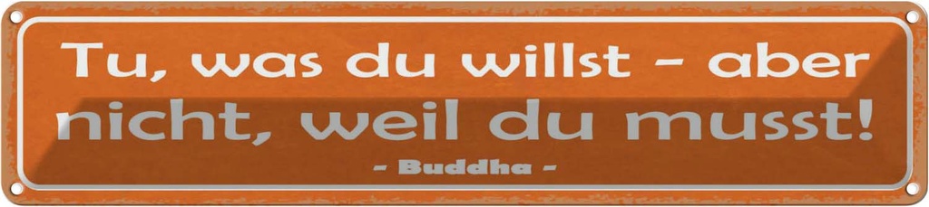 Blechschild 10x46 cm tue was du willst aber nicht Dekoration Spruch Zitat