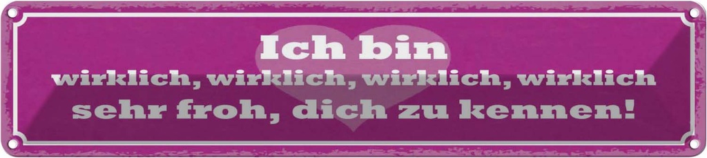 Blechschild 10x46 cm bin wirklich froh dich zu kennen Spruch Zitat