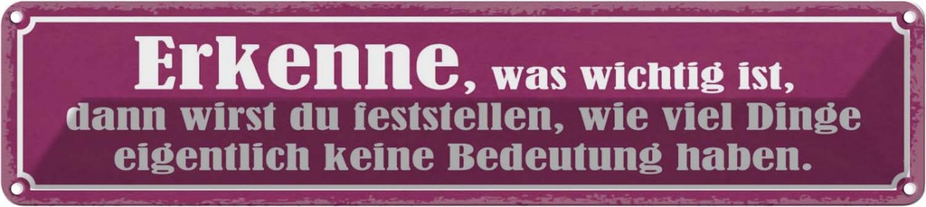 Blechschild 10x46 cm erkenne was wichtig ist dann Dekoration Spruch Zitat