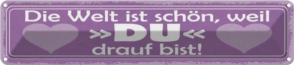 Blechschild 10x46 cm Welt ist schön weil DU bist Dekoration Spruch Zitat