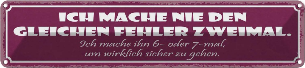 Blechschild 10x46 cm nie den gleichen Fehler zweimal Spruch Zitat