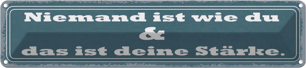 Blechschild 10x46 cm Niemand ist die du deine Stärke Spruch Zitat