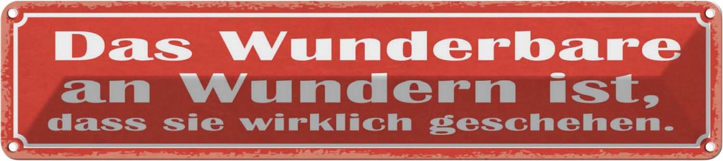 Blechschild 10x46 cm das Wunderbare an Wundern ist Dekoration Spruch Zitat