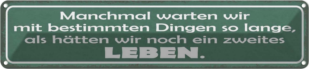Blechschild 10x46 cm manchmal warten wie so lange als Spruch Zitat