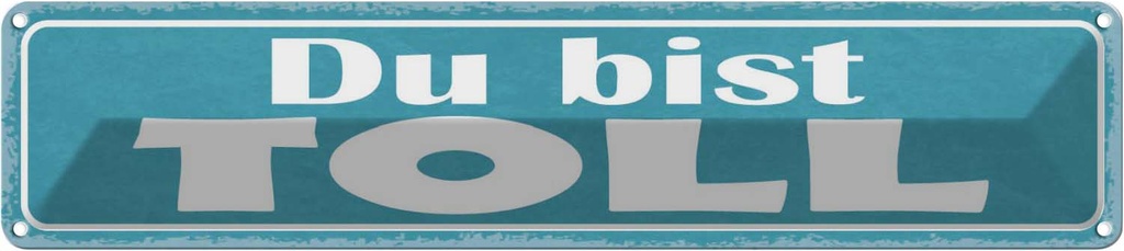 Blechschild 10x46 cm Du bist toll Dekoration Spruch Zitat