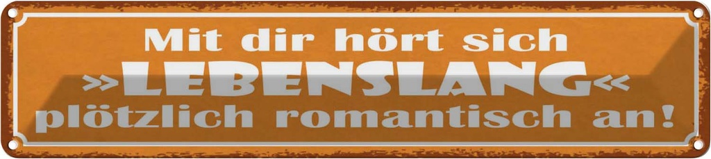 Blechschild 10x46 cm mit dir Lebenslang romantisch Dekoration Spruch Zitat