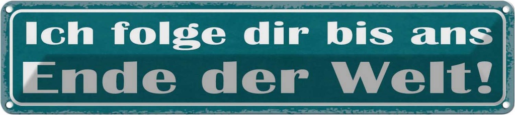 Blechschild 10x46 cm ich folge dir bis ans Ende Welt Spruch Zitat